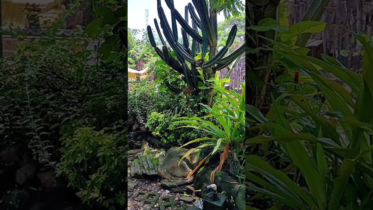 Patung budha tidur di mojokerto