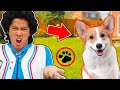 MarMar&#39;s FAVORITE Animals! Full Episode of PUPPIES and KITTENS!