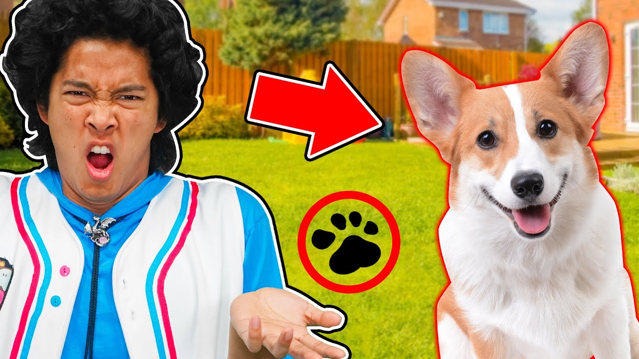 MarMar's FAVORITE Animals! Full Episode of PUPPIES and KITTENS!