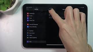 iPad Mini 2024: Protect Your Privacy by Hiding IP Address! screenshot 4