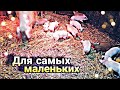 ПЕЧЬ"стальная торпеда с кирпичом" для Гаража или Сарая своими руками!!!