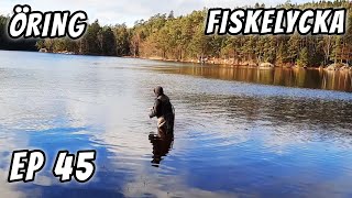 Cold Fly Fishing for Trout and Rainbow | Fiskelycka | Ep 45