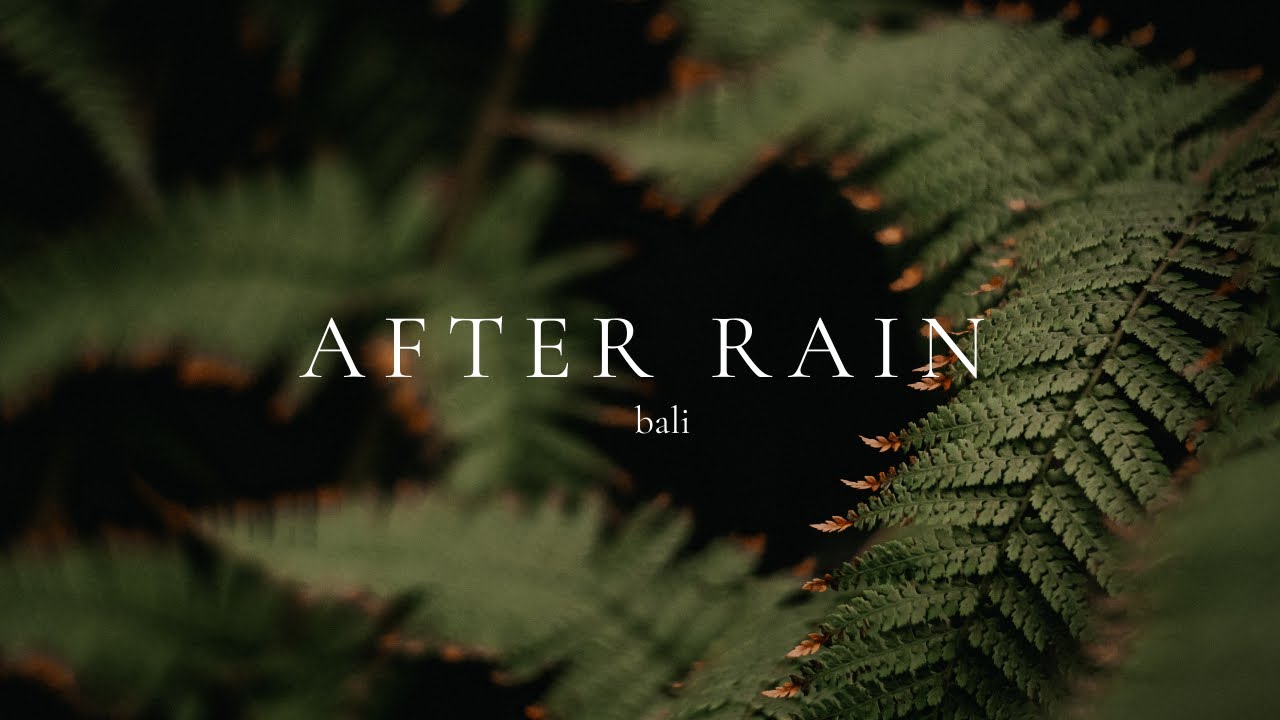 Bali Night Sounds 🌙 8 Hours of Relaxing Jungle Sounds for Deep Sleep (No Music) 