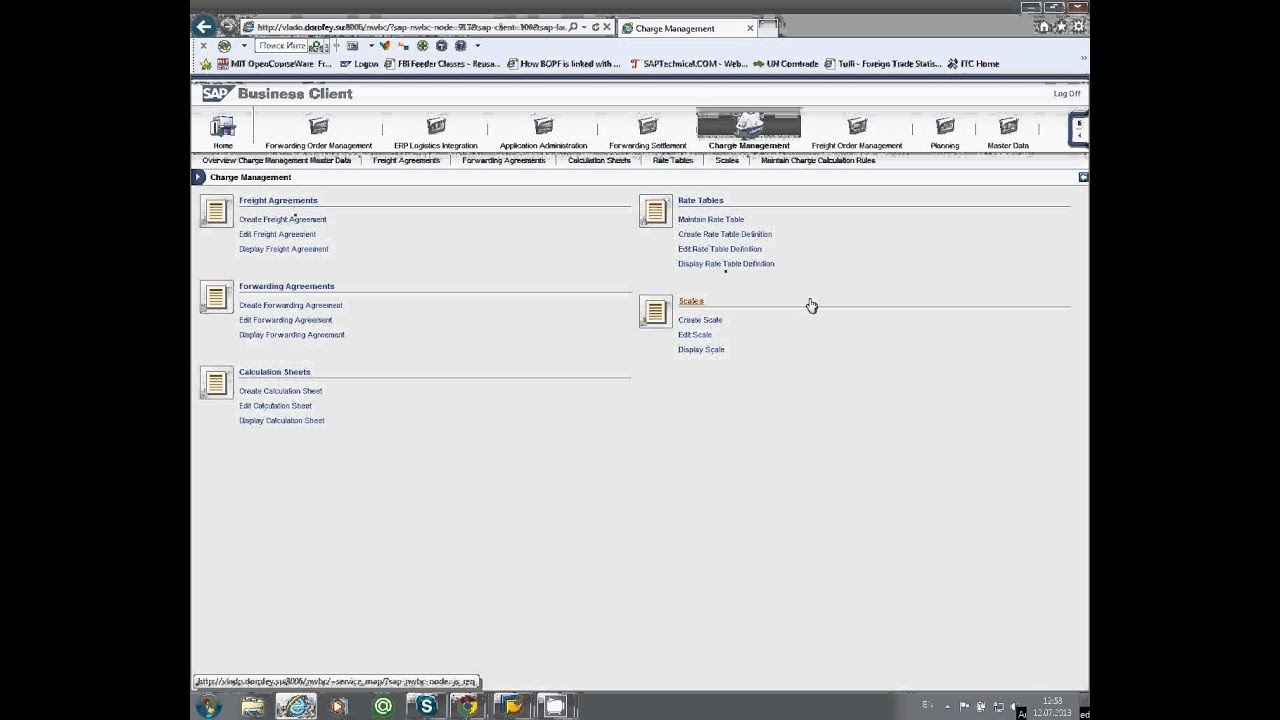 Обзор функциональности SAP TM