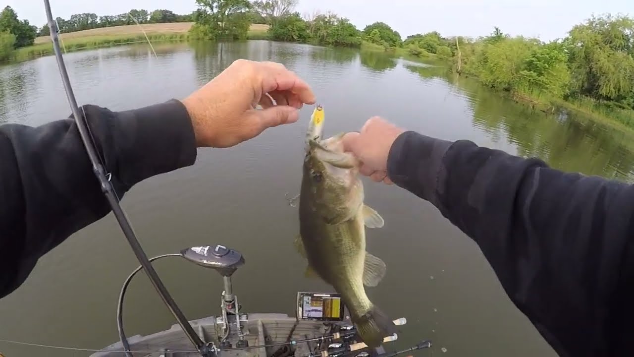 How To Boat Control is Key for Bass Fishing Pink Chatterbait Whopper Plopper Topwater Bite