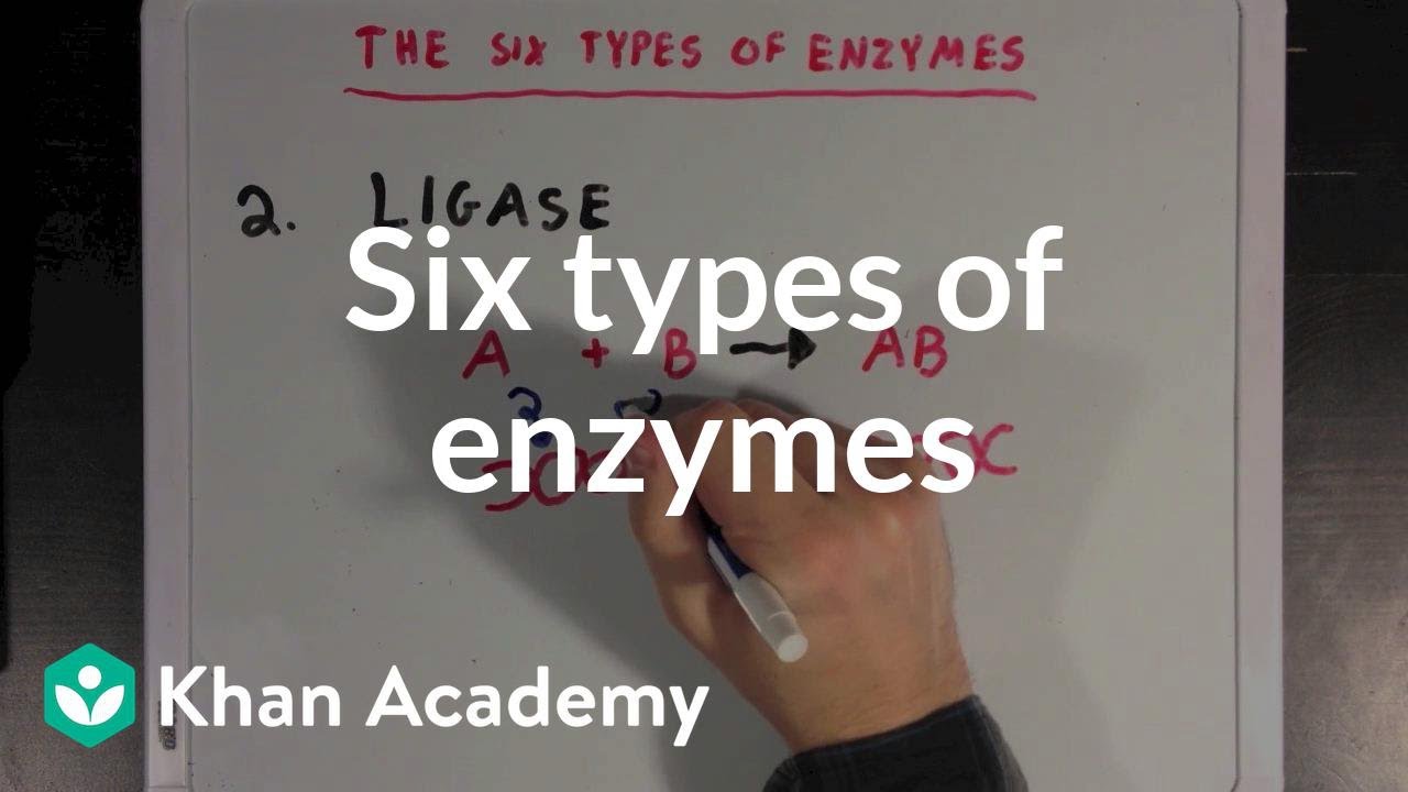 Six types of enzymes | Chemical Processes | MCAT | Khan Academy