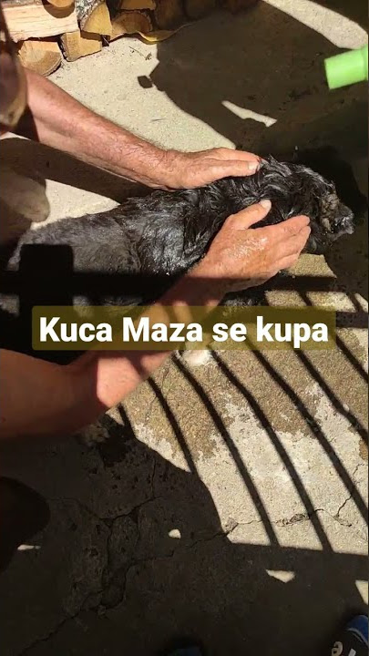 Kuca Maza se kupa😎😎😀😀😃