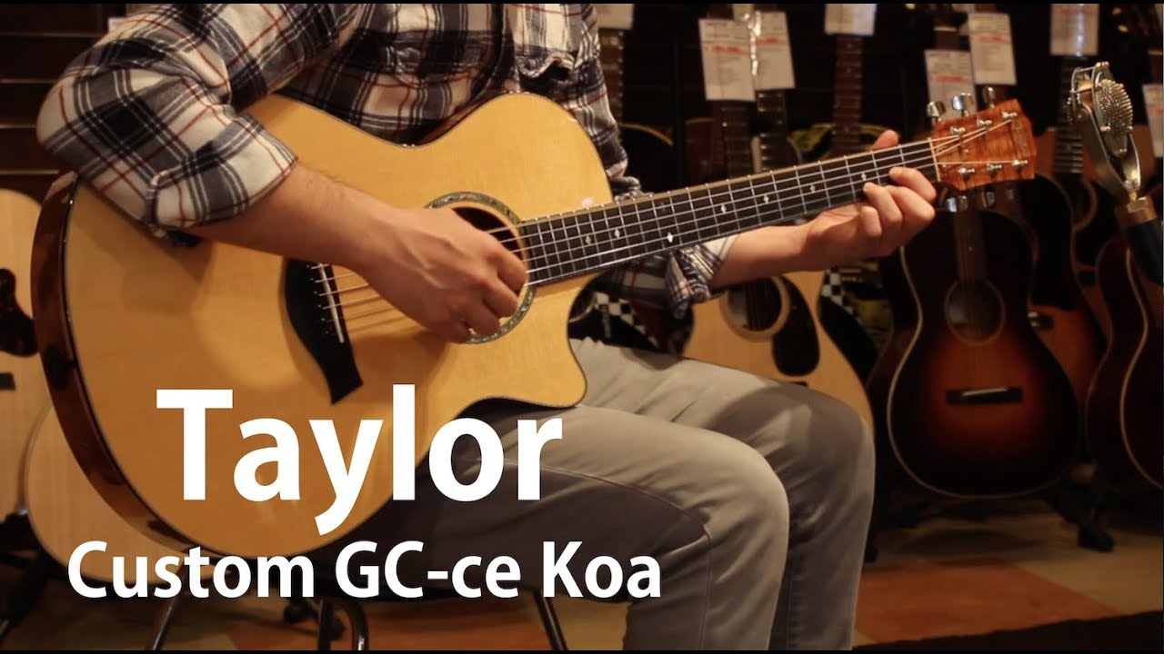 TAYLOR Custom GC-ce Koa|ドルフィンギターズ