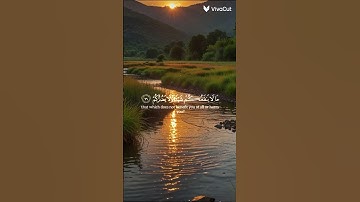 القارئ: ياسر الدوسري (( ماتيسر من سورة الأنبياء )) #اكسبلور #راحة_نفسية #المصحف #لايك