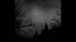 TX2 - Trust no one (Lyrics)