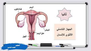 العلوم - الصف التاسع - الدرس الاول