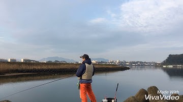 Câu cá tráp tại nhật vào mùa đông