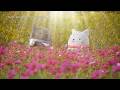 VAZZY「WELCOME TO THE NEW WORLD」【ツキコットMV集】