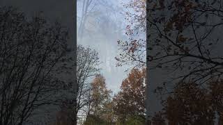 IMG 4100 1 J