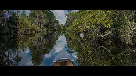 Using Object Eraser with Samsung Photo Editor