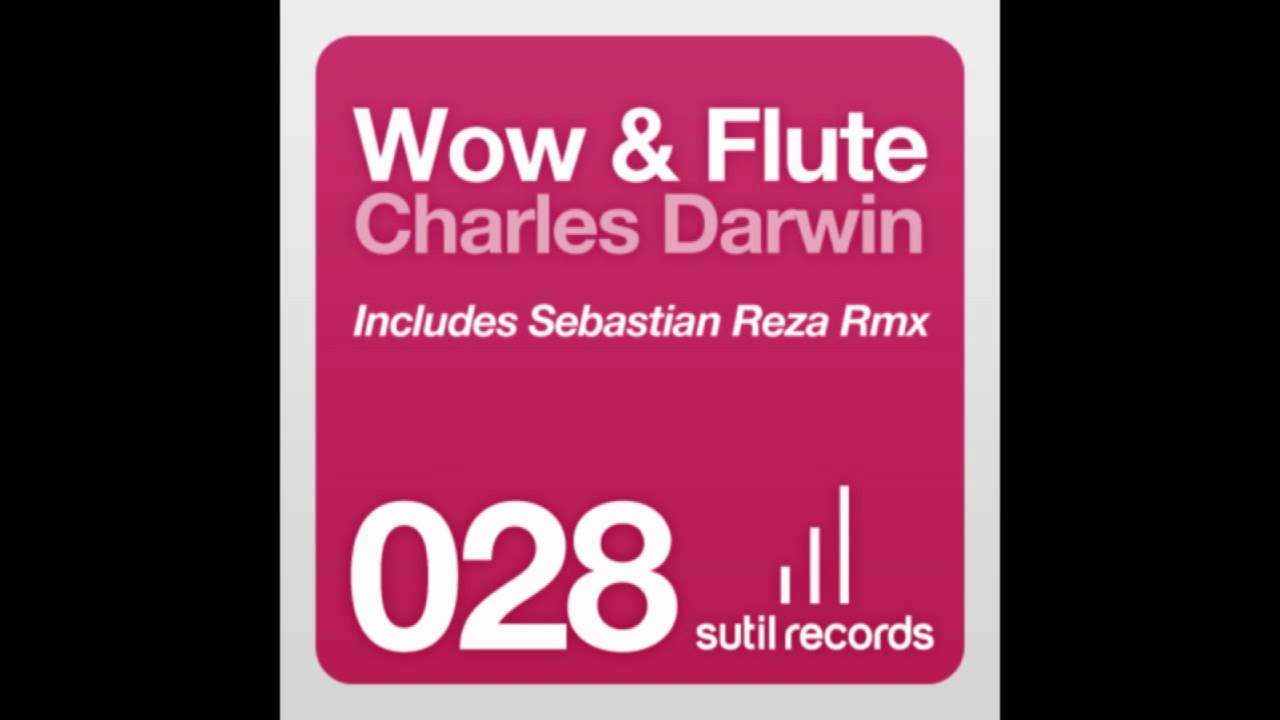 Wow & Flute - Charles Darwin (Original Mix)
