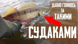 ТРОФЕЙНЫЕ СУДАКИ СПАСЛИ ВЫЕЗД В ТОМСКУЮ ОБЛАСТЬ