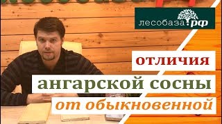 Вагонка штиль: разница между ангарской и обыкновенной сосной(, 2018-05-08T18:14:44.000Z)