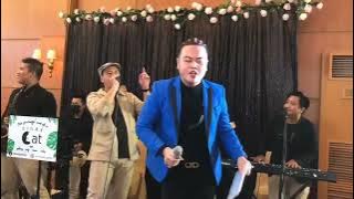 Cindy Cat Project - Sakura ( Fariz RM ) versi Melodious | COVER