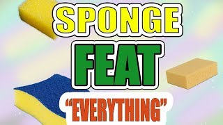 9 Genius Sponge Ideas