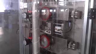 Nylon triangle pyramid tea bag packing machine with thread and tag