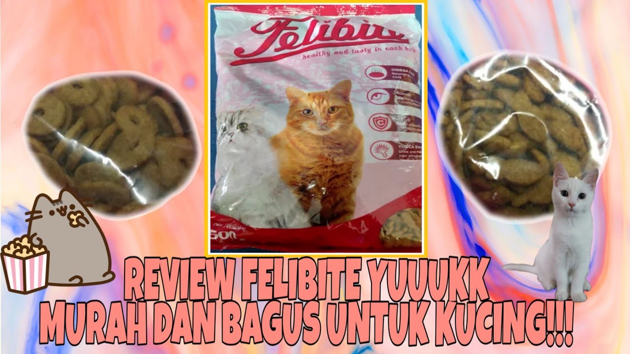 Review Makanan Kucing Merk Felibite - YouTube