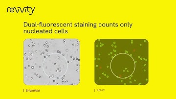Cellometer® K2 fluorescent viability cell counter – Because every cell counts