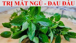 TRỊ MẤT NGỦ - ĐAU ĐẦU -  TUYẾN GIÁP KHỎE MẠNH - MẠNH HƠN 130 LẦN CHANH -  TỎI - TIÊU DIỆT VI KHUẨN