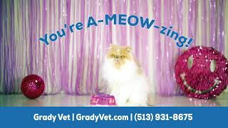 It's Time to Celebrate Veterinary Receptionists!