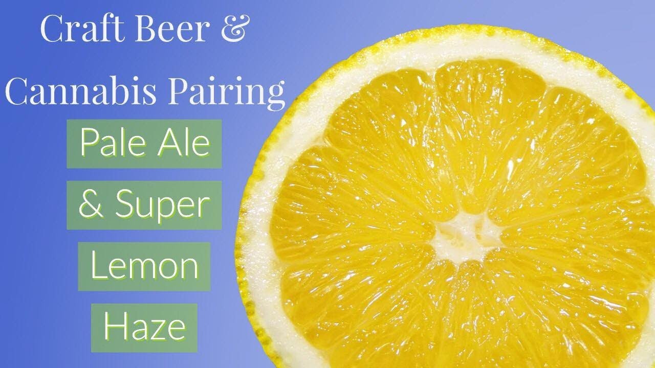 Craft Beer & Cannabis Pairing | Pale Ale & Super Lemon Haze