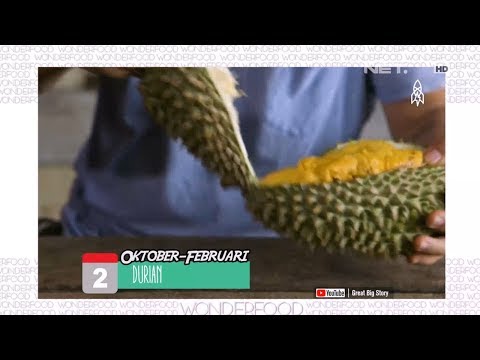 Video: Bagaimana Memberi Makan Kismis Pada Musim Bunga? Bagaimana Memberi Makan Hasil Panen Yang Baik Pada Bulan April? Memupuk Kismis Hitam Dengan Baja Mineral Dan Lain-lain