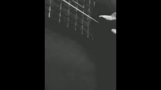 Cinta Terlarang - The Virgin (Cover) // Story WA (Whatsapp)