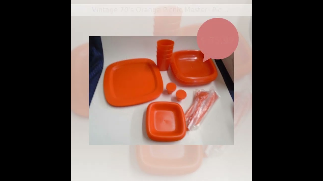 Vintage 70's Orange Picnic Master- Picnic Dish Set