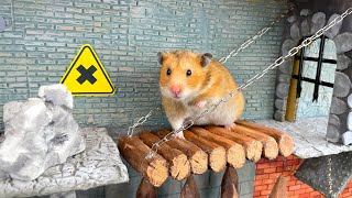 Hamster escapes the Jail Maze with TRAPS!  Robbery of the pet museum