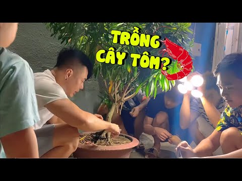 DƯƠNG LÂM HƯỚNG DẪN TRỒNG CÂY "TÔM" CHO NHÂN VIÊN ĂN ĐỠ KHỔ MÙA DỊCH