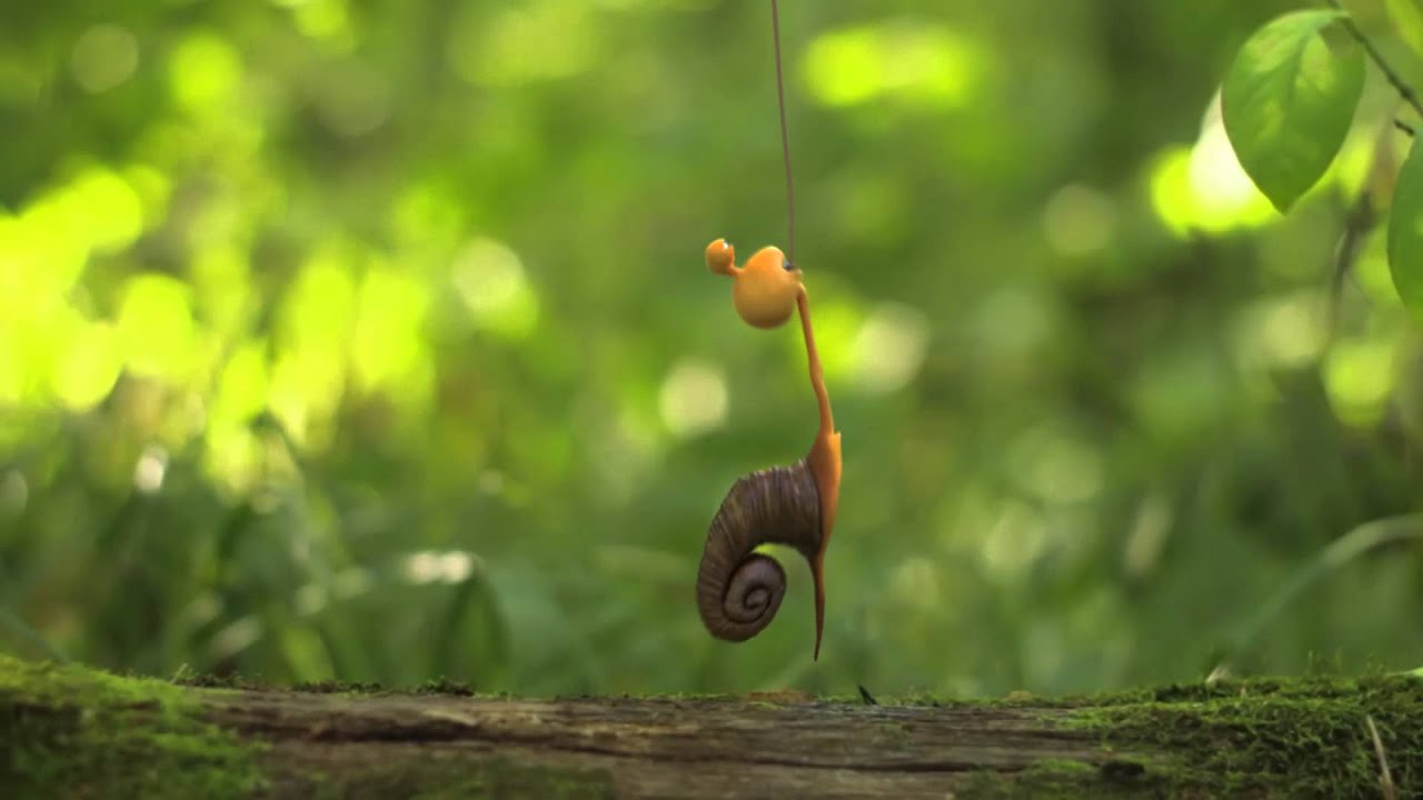 Thema animation Kleinschalig diertje