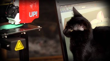 Maker Cat printed a mouse for itself with UP Plus 2 3d Printer