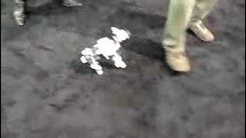 Crunchgear CES 2007 - Bioloid Robotis Kit