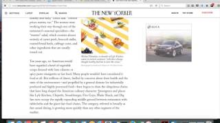 Website Functionality