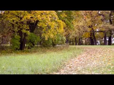 ФУТАЖ Осень - FOOTAGE Autumn