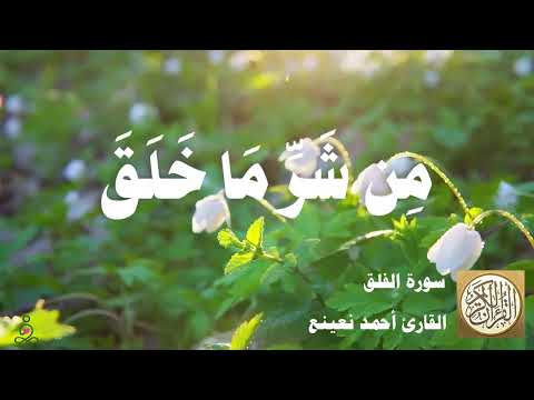 113 أحمد نعينع سورة الفلق