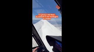 Ce pilote ne s'attendait pas à le voir ici !