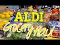 BIG Aldi Grocery Haul || Walmart Haul!