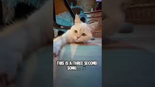 This Is A Three Seconnd Song