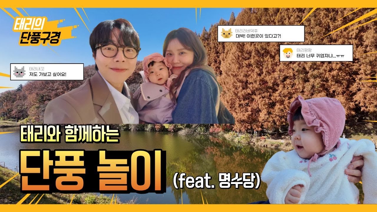 【Vlog】 ep.27 단풍