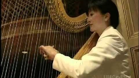 Harry Wondrous World conducted by John Williams