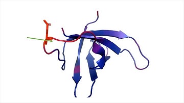 Conformational Entropy, by Adam McConnell (BIOC 5351)