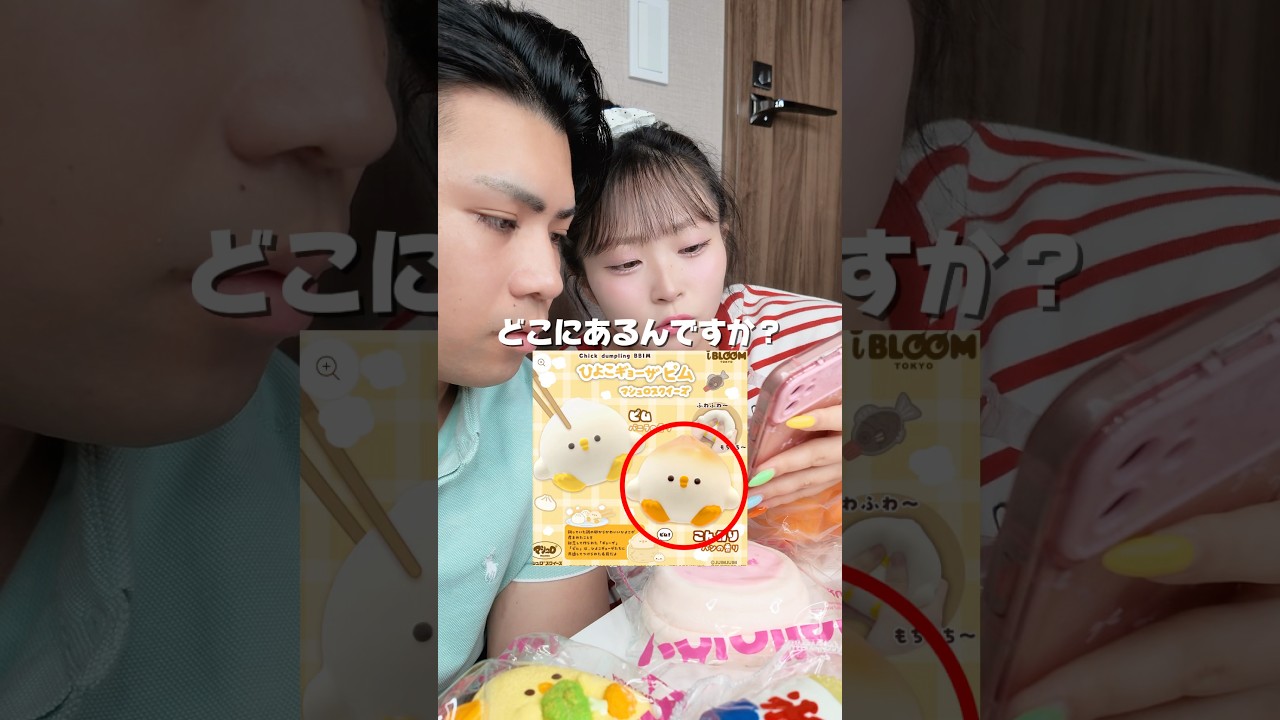 彼女のためにどうしてもどうしてもブルーム集めたいのでひよこギョーザ、パンドゥマタン、ビッグハンバーガー、あんぱん、パオパオ飯店もしどこかで見かけたら教えて欲しいです。#スクイーズ