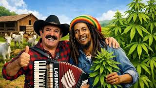 Barreiros Cabritinha Reggae Cover