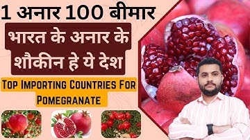 Top Importing Countries For Pomegranate || How To Export Pomegranate From India #export #import #